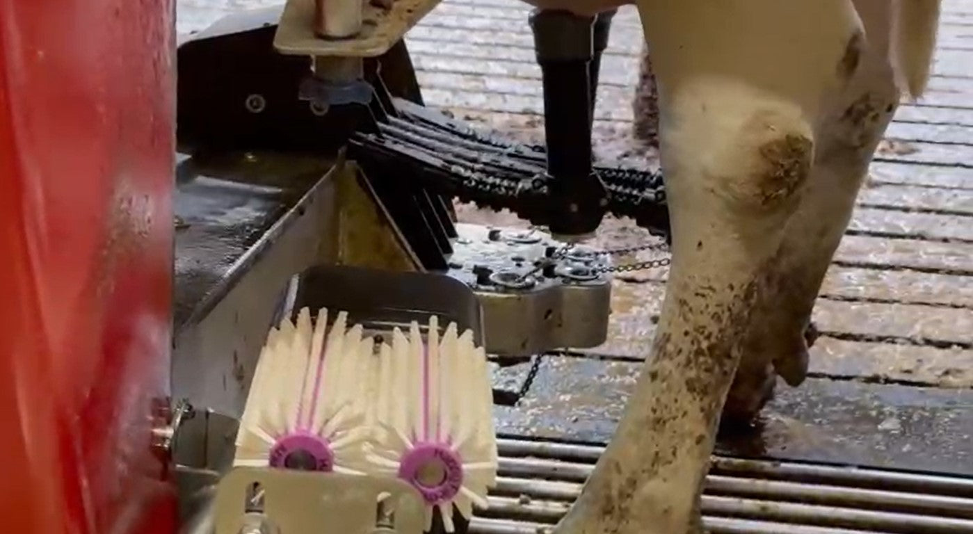 Antibacteriële borstelset speenreiniging melkrobot