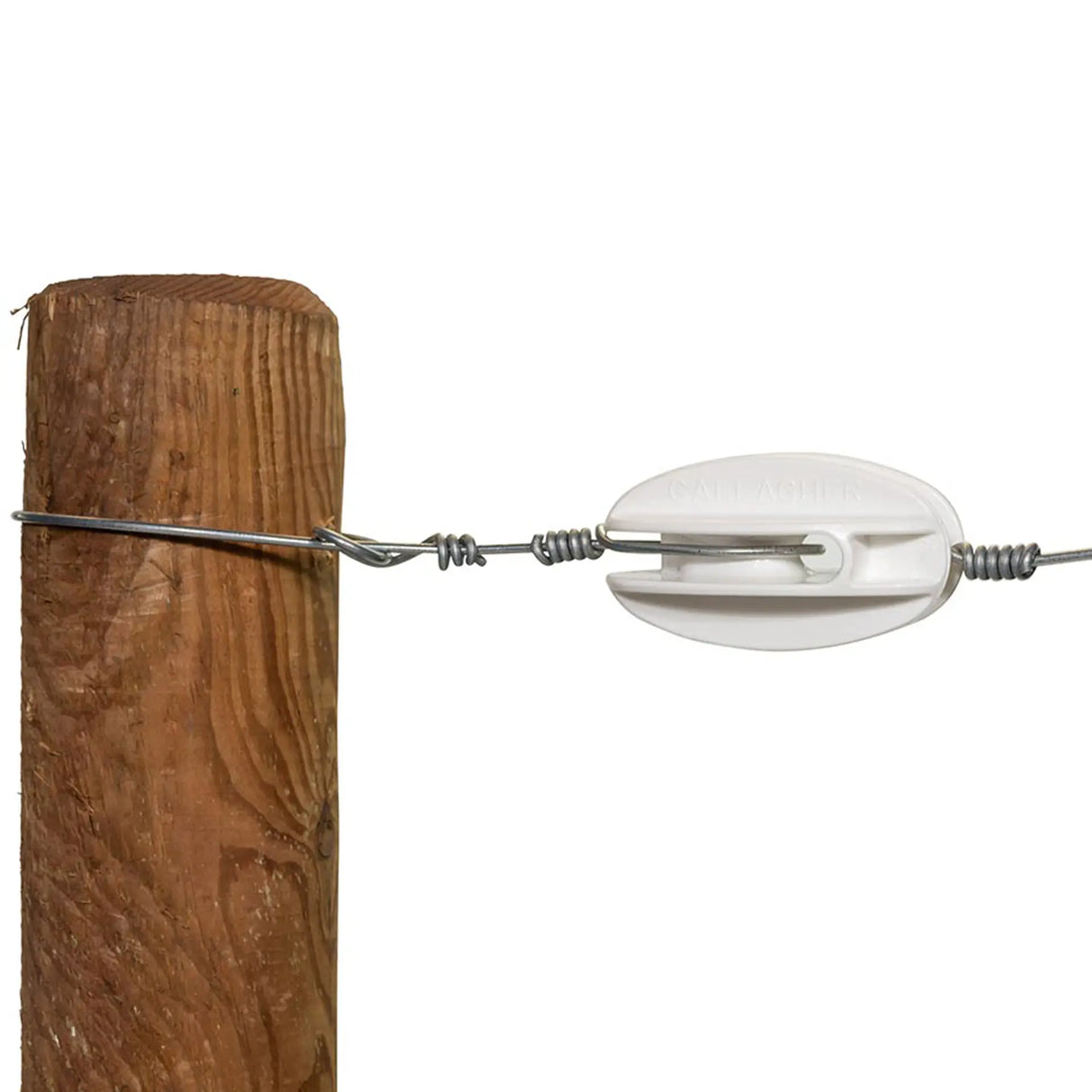 Gallagher Eckisolator Verstärkt - Weiß (100 Stück)