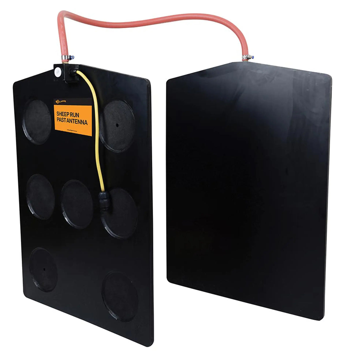 Gallagher Sheep Run Past Antenna - 800mm x 600mm