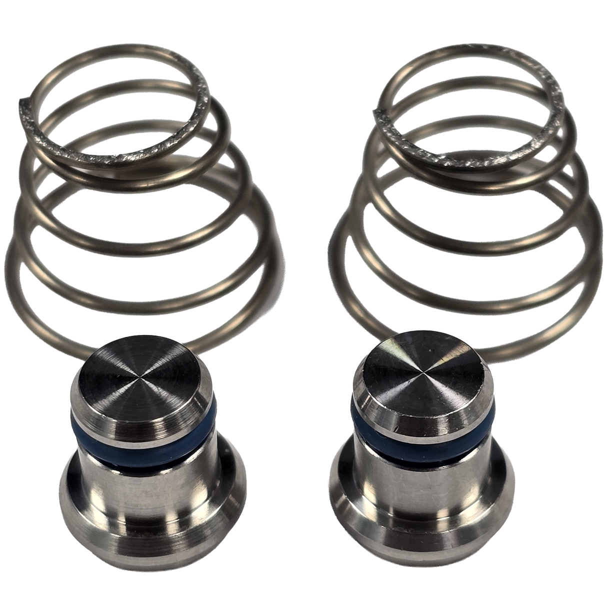 Wear parts single valve PURA Lely 5.1005.4066.0