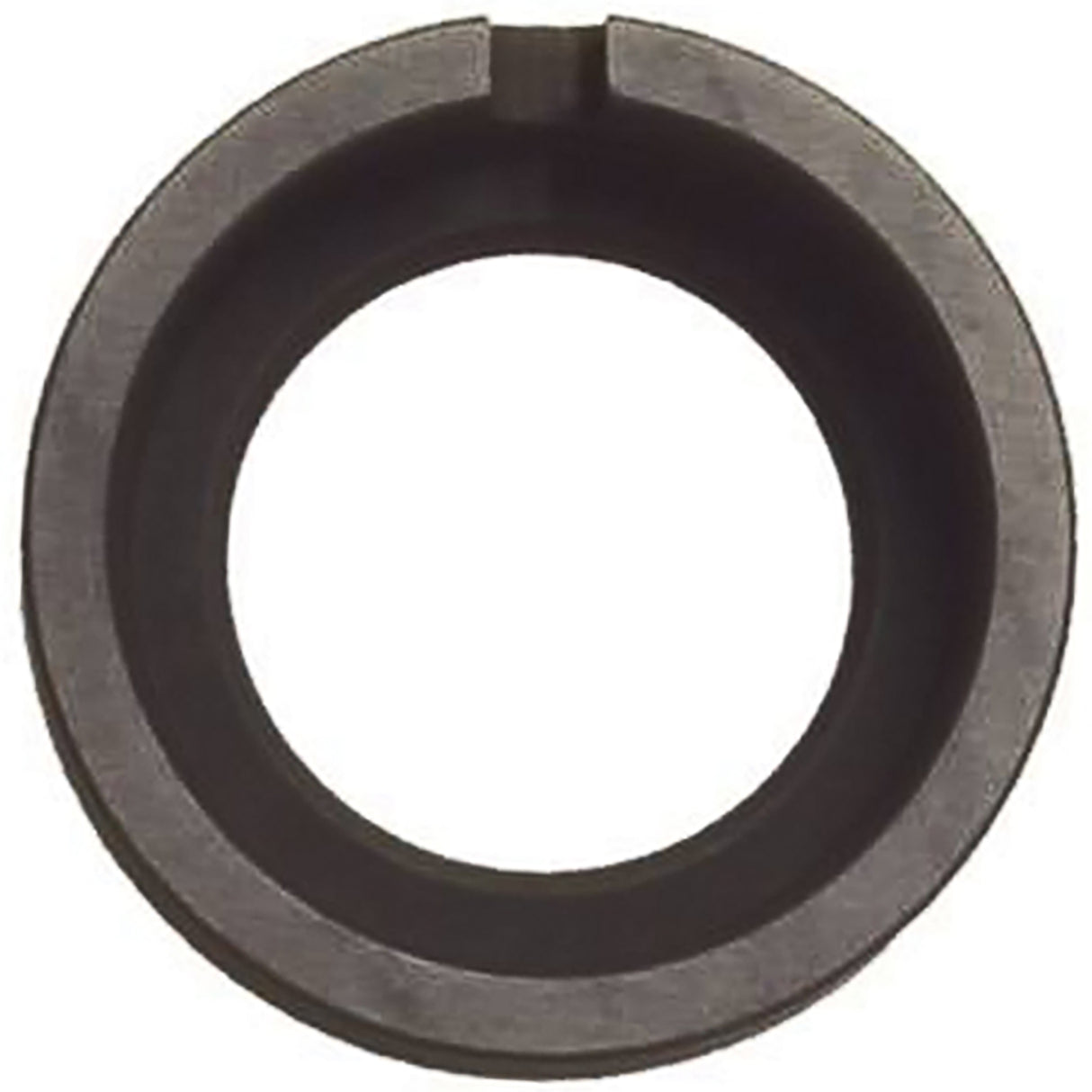 Graphite ring Milk pump FMP55 GM2