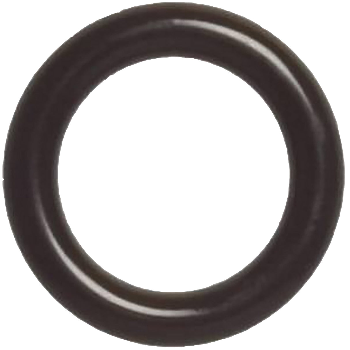 O-Ring Milk Pump FMP55