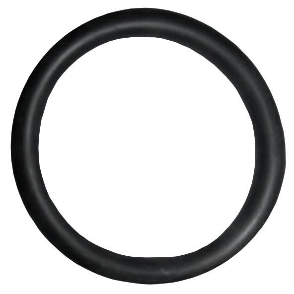 O-Ring FMP110