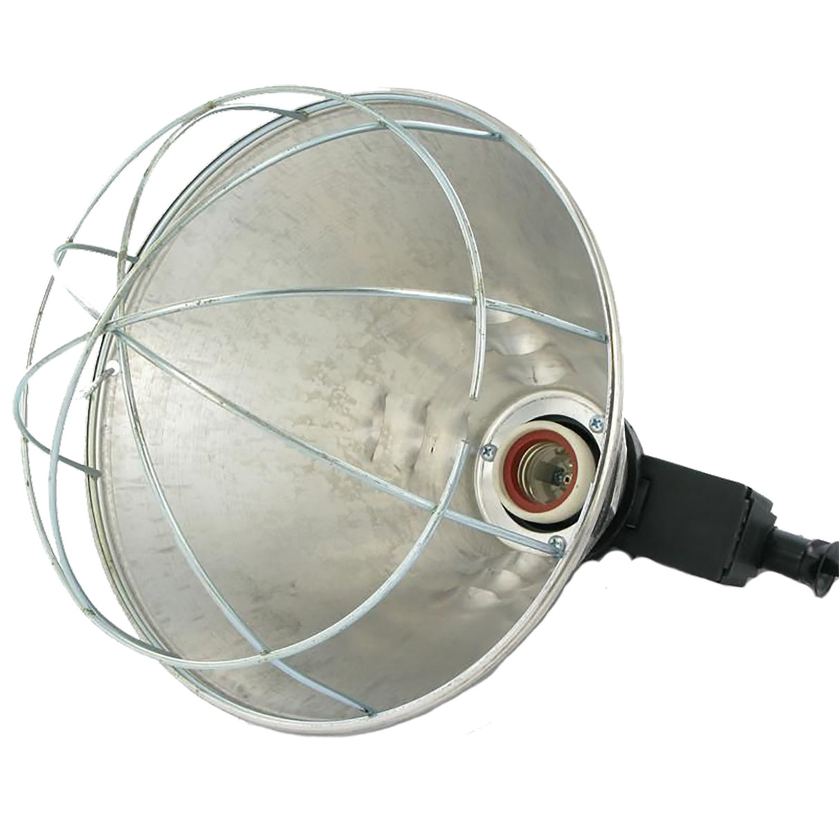 Rearing light fixture with 2.5 meter cord