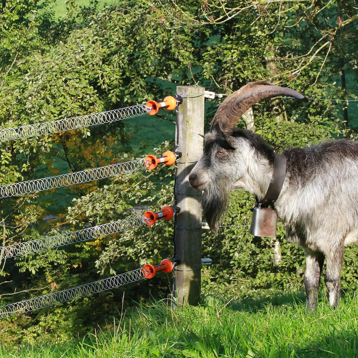Spring Loaded Gate Valve