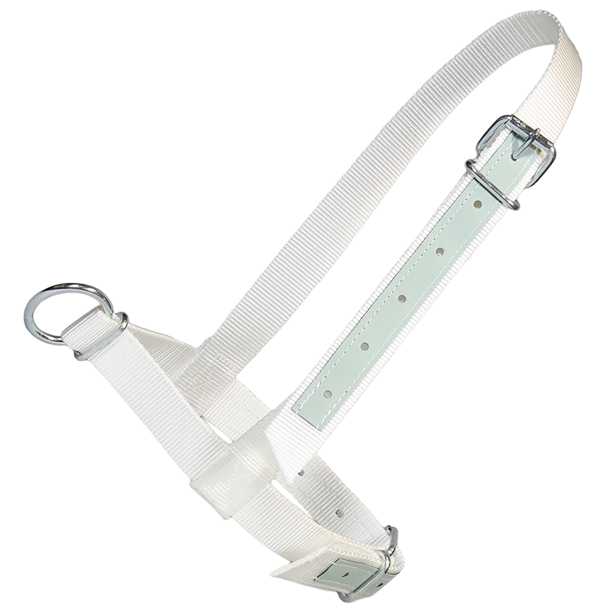 Bull Halter White nylon with leather reinforcement
