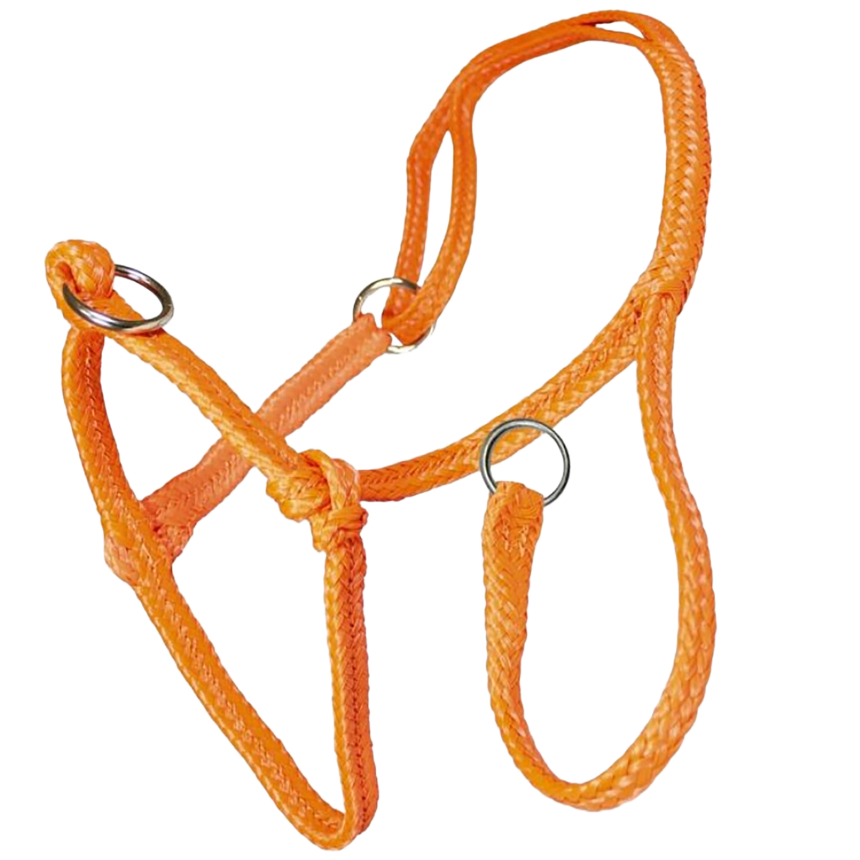 Sliding halter Cow nylon orange braided