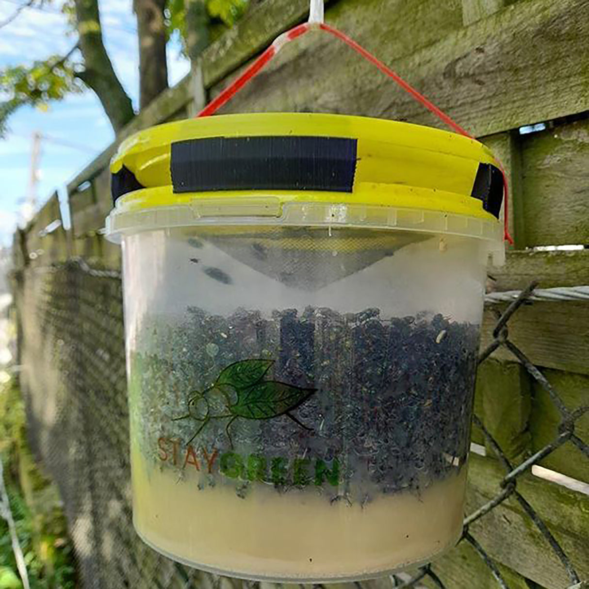 Fly Bucket StayGreen complete