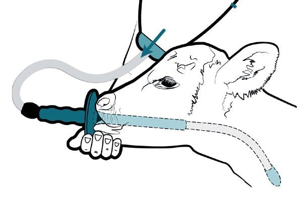 Trusti Tuber - Tubes with mouthpiece and cap