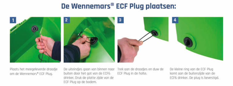Plugg Wennemars ECF