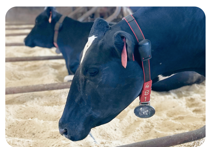 Transpondeur Infrarouge H-HR-QWES LD