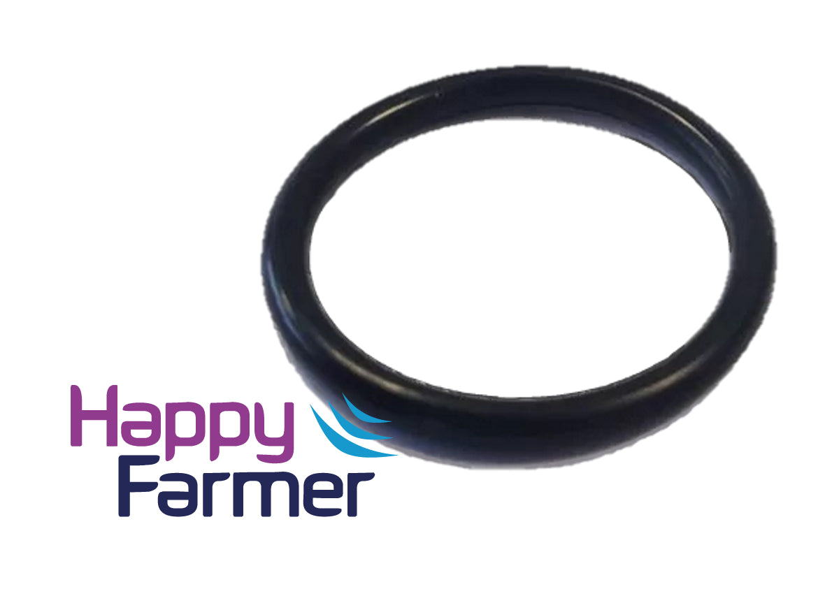 O-ring Pulsameter 2