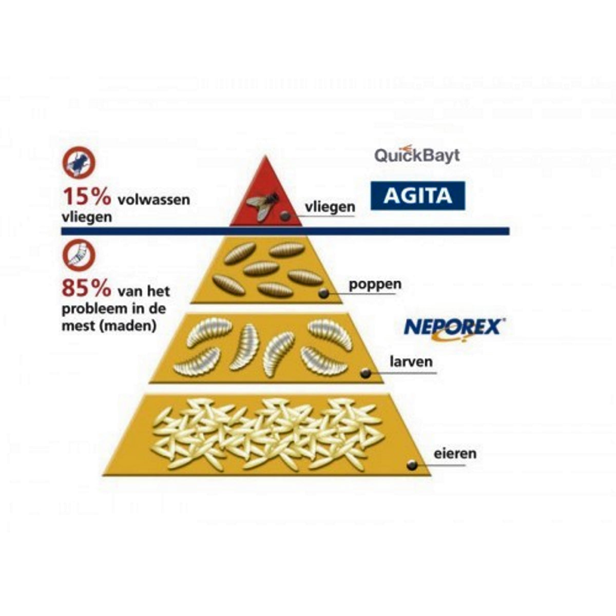 Neporex 2WSG Madendood