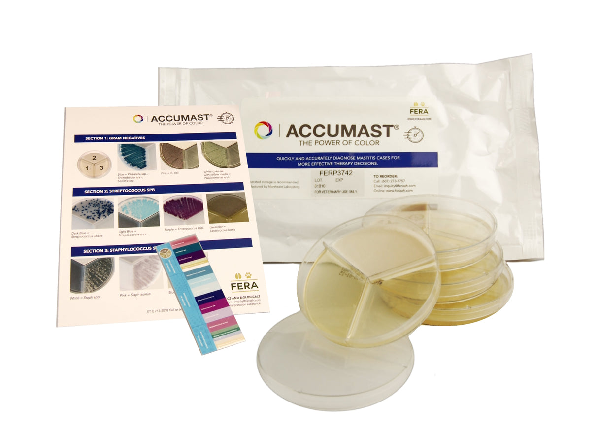 AccuMast Mastitis Self Test