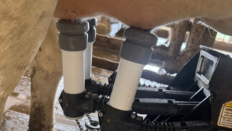 Nieuw: de HappyLiner siliconen tepelvoering