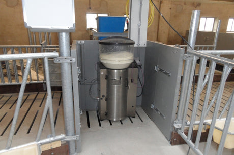 De voordelen van een kalverdrinkautomaat: Gezonde kalveren, efficiënte veehouderij