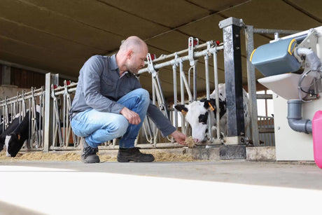 Kalverdrinkautomaat: werking, voordelen en onderhoud