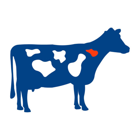 DeLaval melkmachine