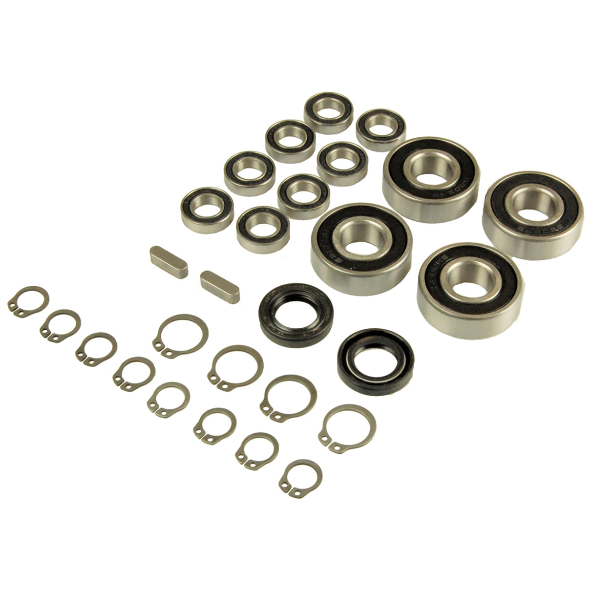 Overhaul kit brush motor AIR Lely A3 and Lely A4 Bearings-Gaskets