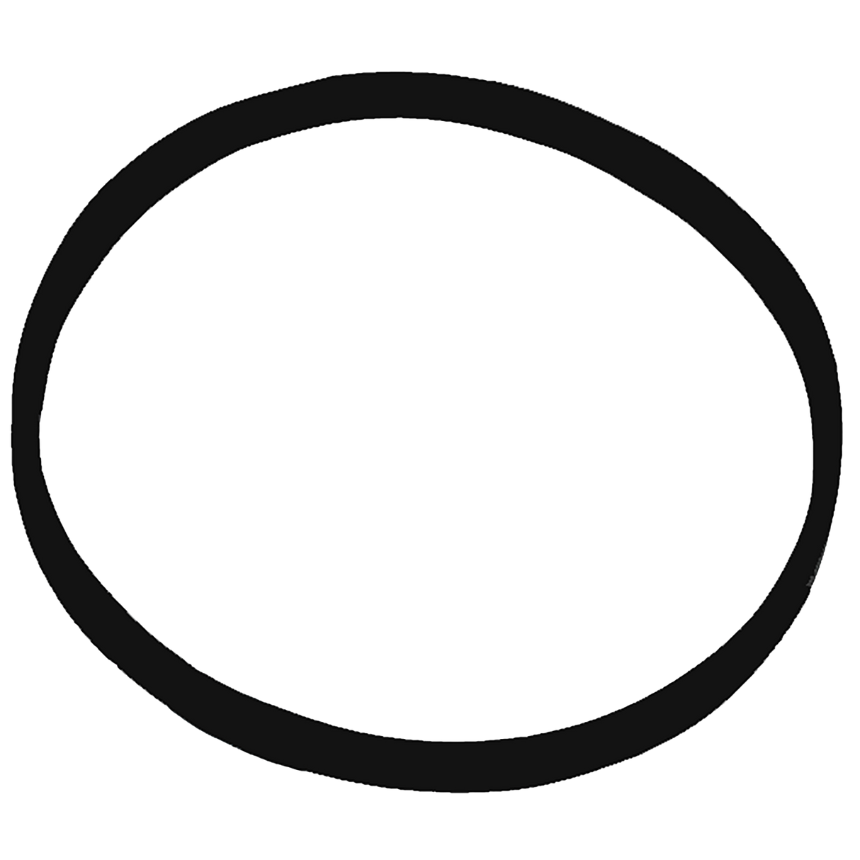 Ring TF350-360 einsetzen