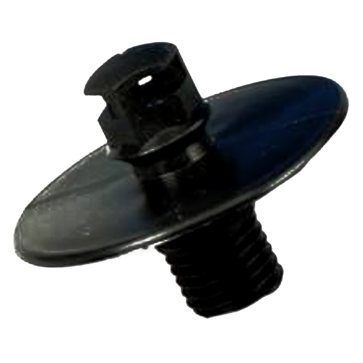 Sprayer for flush plate