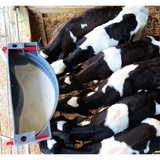 Milk Bar 6 Zitzen Tränkeeimer 36L