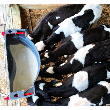 Milk Bar 6 speens drinkbak