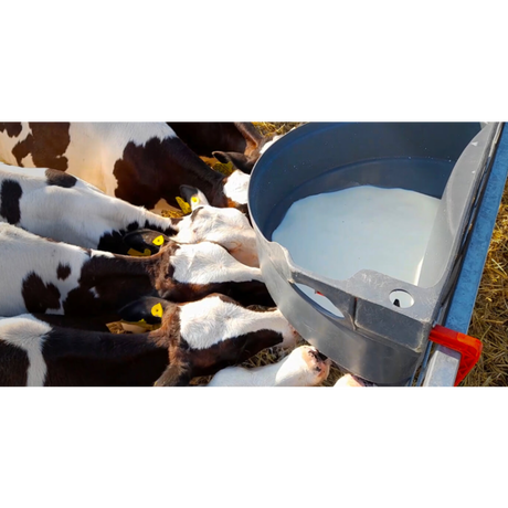 Milk Bar 8 teats feeding trough 60L
