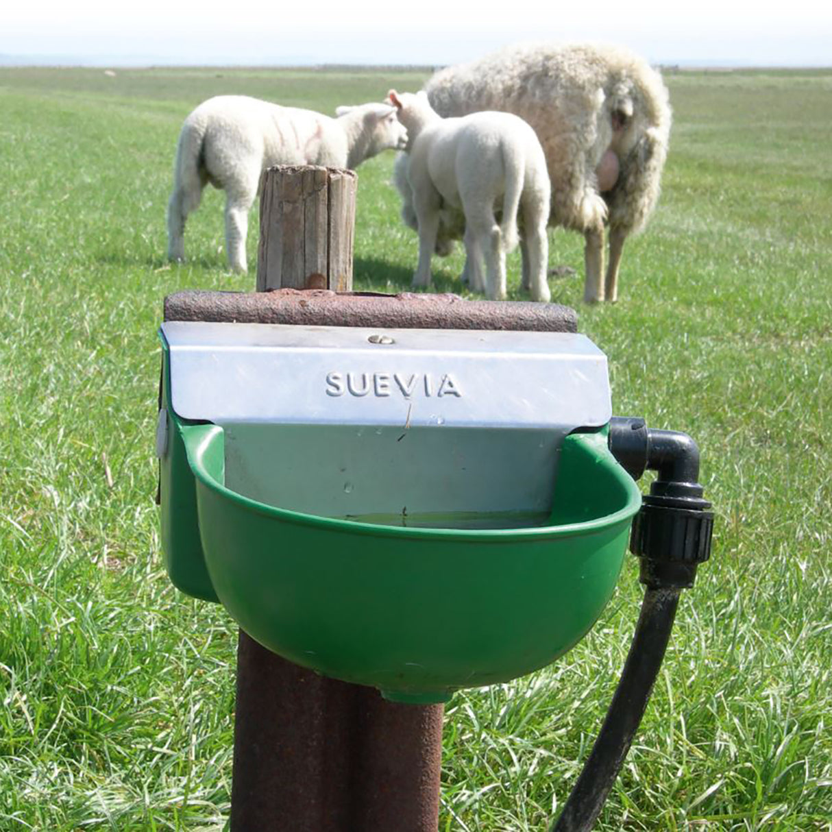 Drinking trough Model 130P with float