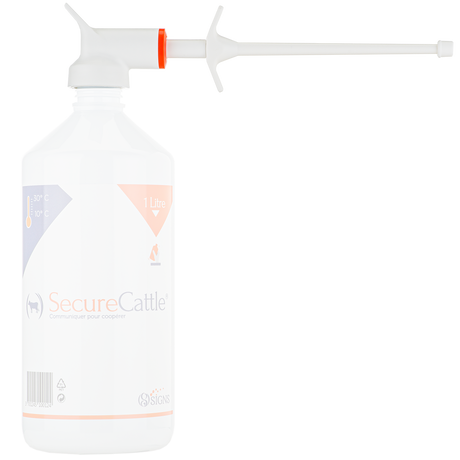 Secure dosing gun