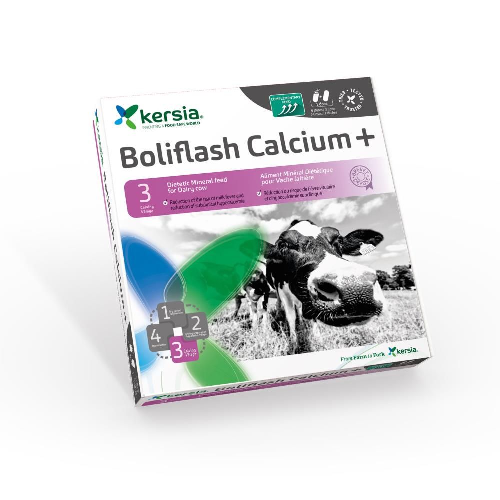 Boliflash Calcium+ Bolus 12 stuks