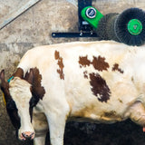 Cozy Cow Kuhbürste