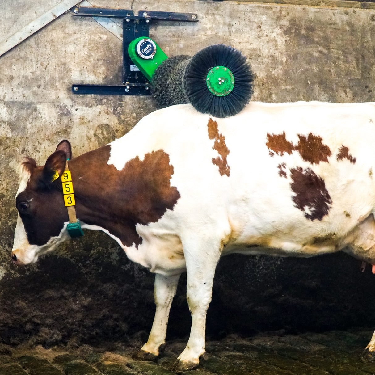 Cozy Cow Kuhbürste