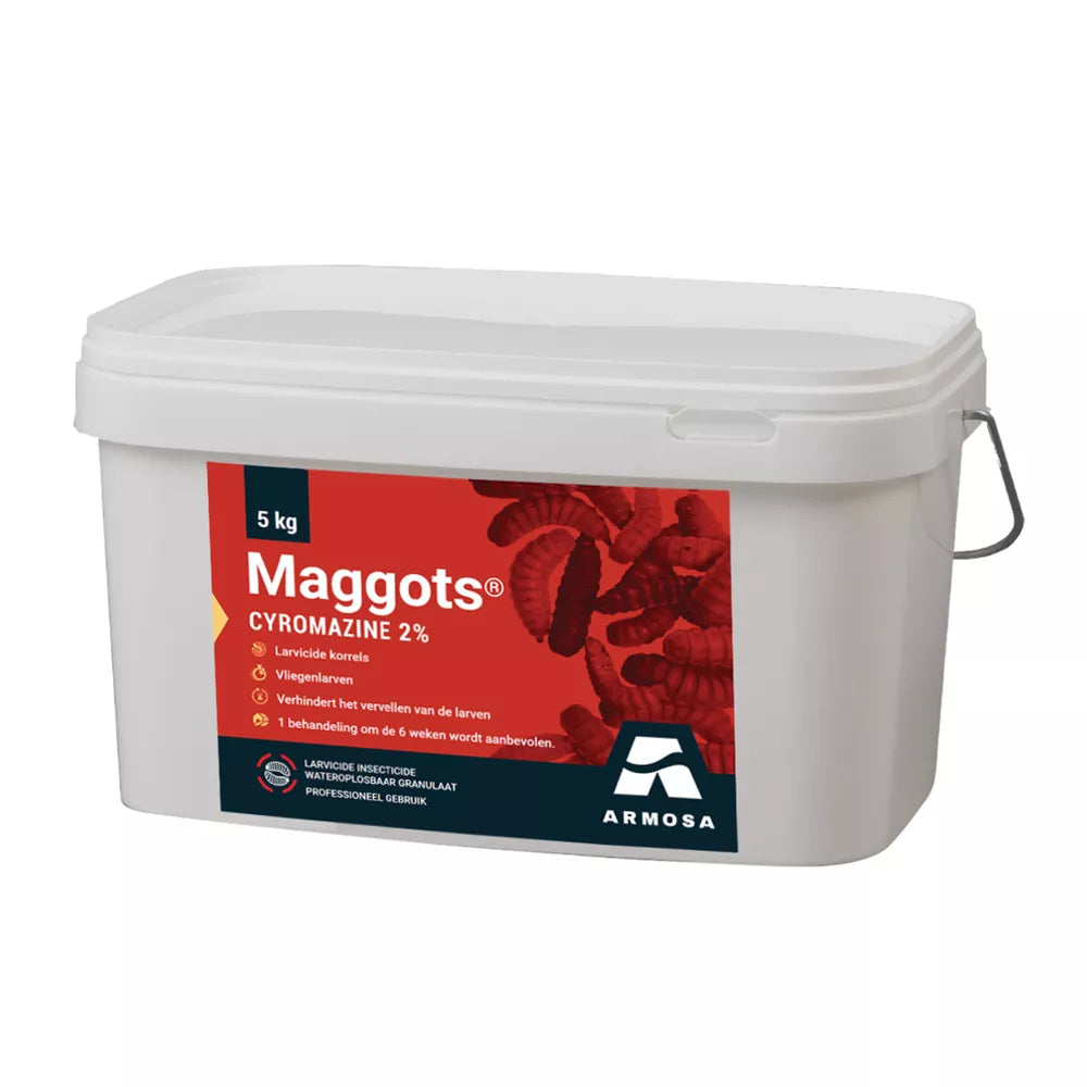 Maggots 5 KG
