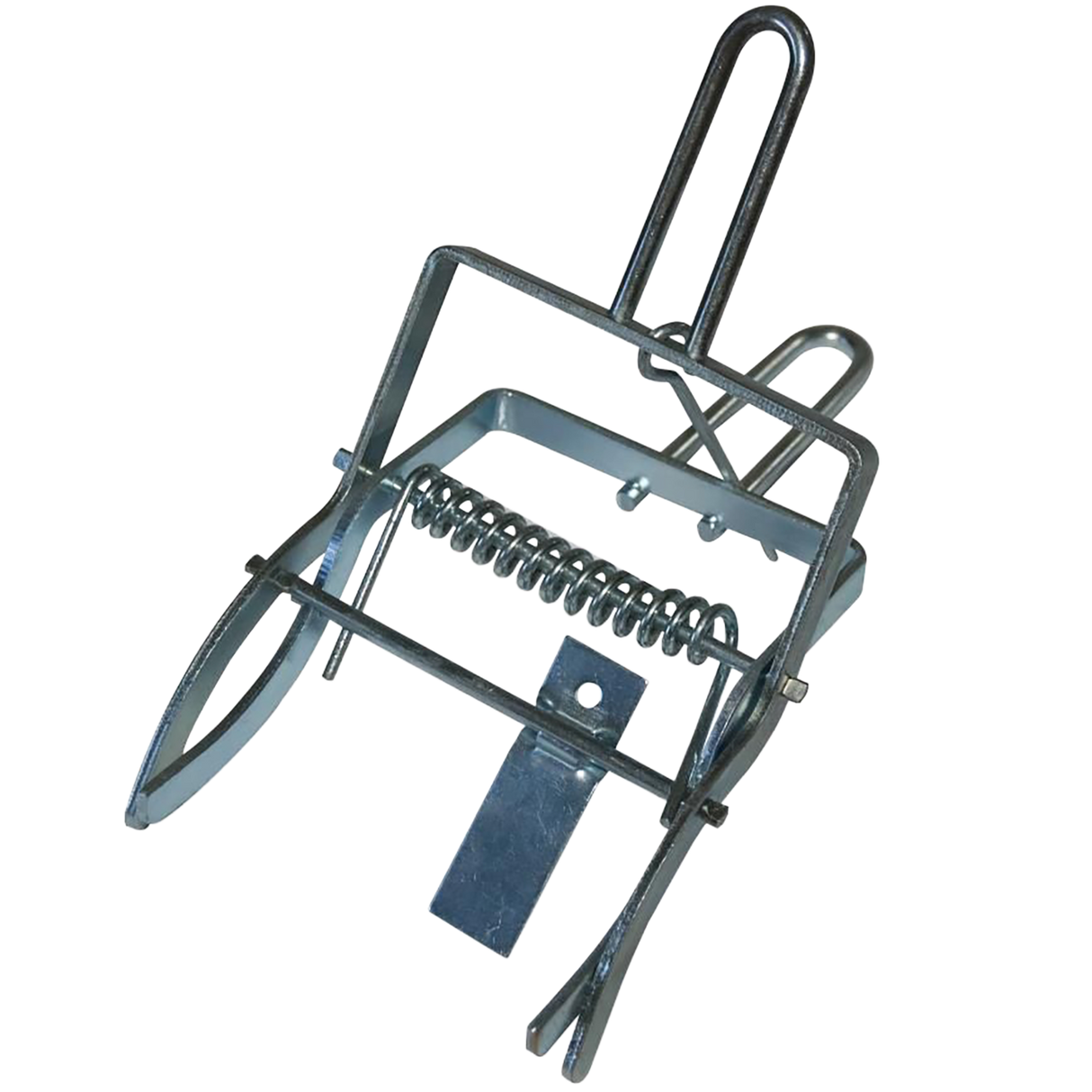 Mole trap with tunnel (copy) 