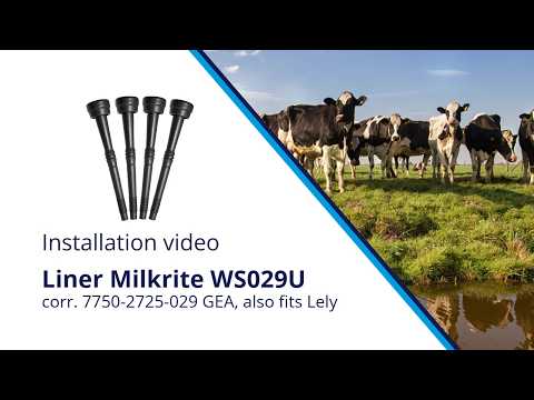 Tepelvoering Milkrite WS029U corr. 7750-2725-029 GEA, ook passend Lely Set 4 st.
