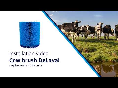 Koborste DeLaval ersättningsborste