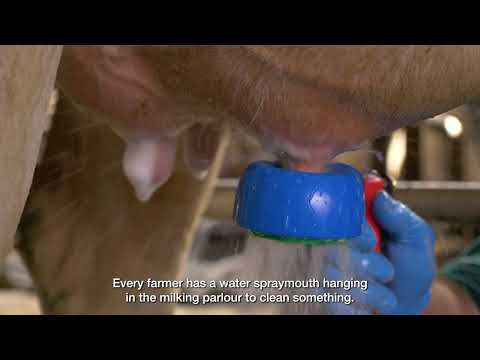 STARTER PACKAGE DairyJet + FREE Gilmour Udder shower