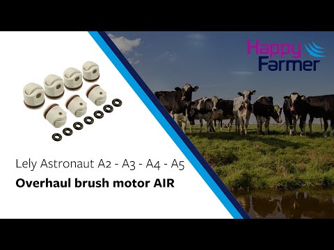 AIR brush motor overhaul kit