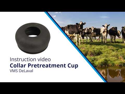 Collier Cupule de prétraitement VMS DeLaval