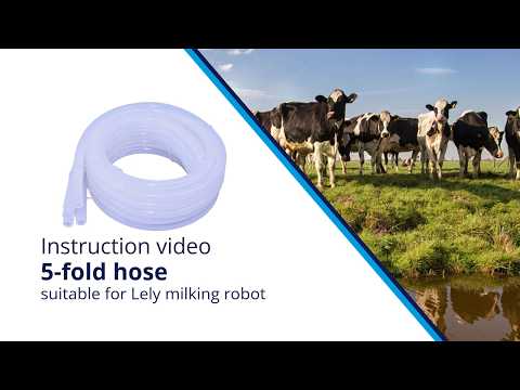 5-Voudige Hose Lely Milking Robot