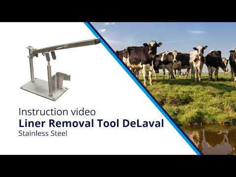 Strumento per Guaine DeLaval in Acciaio Inox
