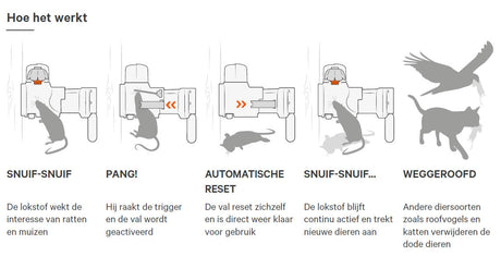 Safet staircase Automatic -25 Rats - and Mouset Startset