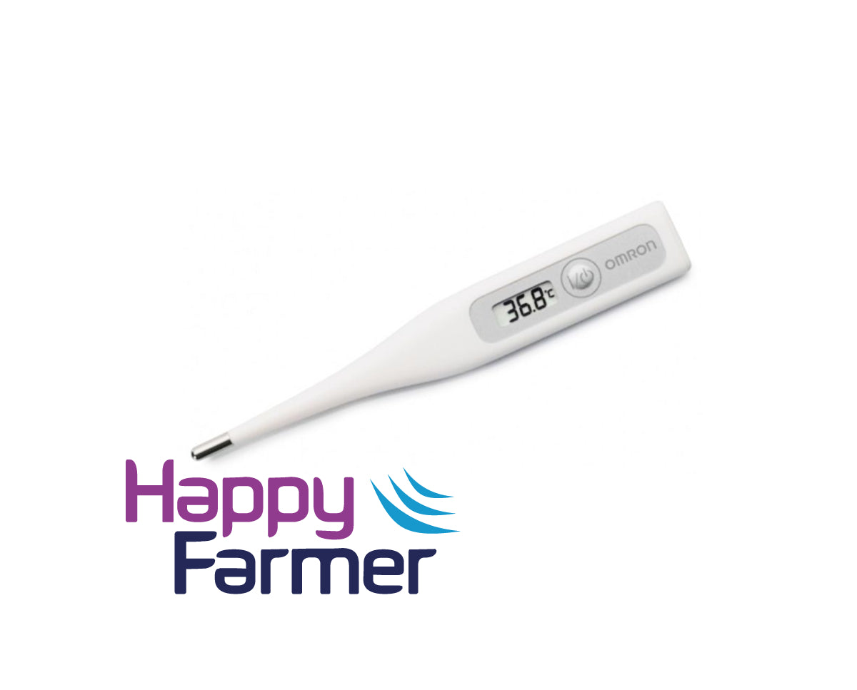 Fever thermometer digital